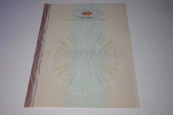 Академическая Справка ВУЗа 2014г в Нижнем Тагиле