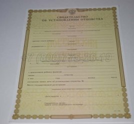 Свидетельство об Установлении Отцовства 2019г в Нижнем Тагиле