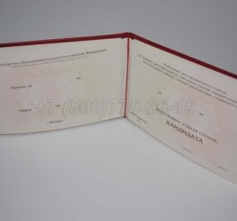 Диплом Кандидата Наук 2023г в Нижнем Тагиле