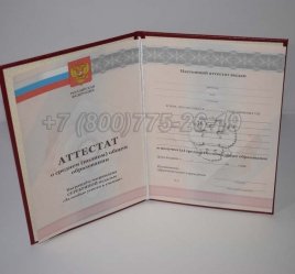 Аттестат За 11 Класс 2012г Серебро в Нижнем Тагиле