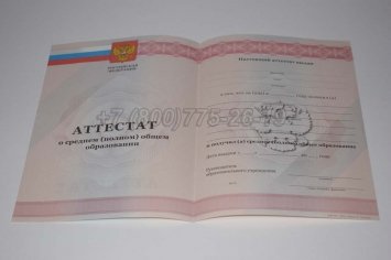 Аттестат За 11 Класс 2013г в Нижнем Тагиле