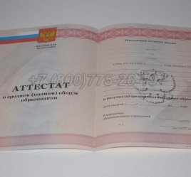 Аттестат За 11 Класс 2012г в Нижнем Тагиле
