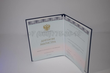 Диплом Магистра 2025г ООО "Знак" в Нижнем Тагиле