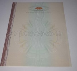 Академическая Справка ВУЗа 2019г в Нижнем Тагиле