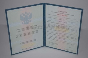 Диплом MBA 2019г в Нижнем Тагиле