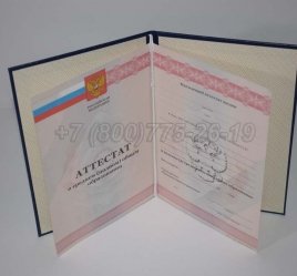 Аттестат За 11 Класс 2009г в Нижнем Тагиле