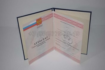 Аттестат За 11 Класс 2009г в Нижнем Тагиле