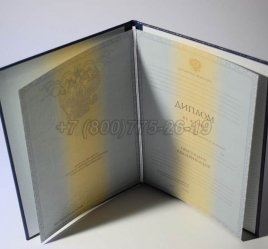 Диплом Академии 2011г в Нижнем Тагиле