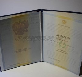 Диплом Академии 2010г в Нижнем Тагиле
